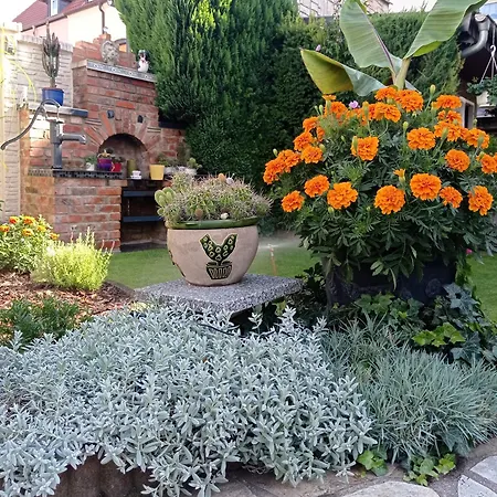 公寓 Usis_ferienwohnung Im Harz *